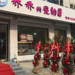 乔乔的宠物店:大连市西岗区人民广场/新开路附近