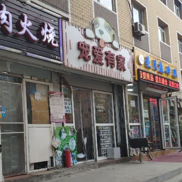 宠爱有家:大连市西岗区八一路沿线附近