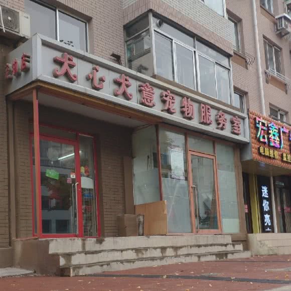 犬心犬意宠物服务室:大连市西岗区八一路沿线附近