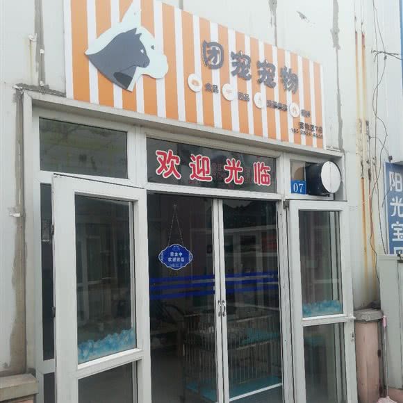 团宠宠物:大连市西岗区香炉礁附近