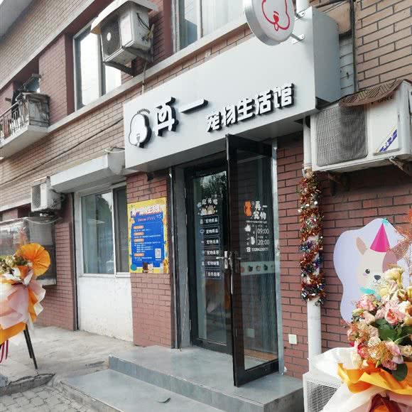 再一狗狗生活馆:大连市西岗区香炉礁附近