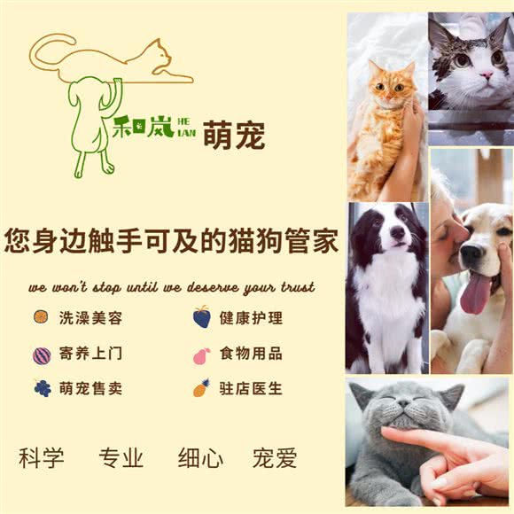 和岚萌宠:北京城区朝阳区草房附近