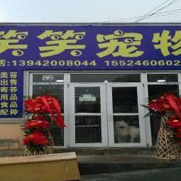 笑笑宠物:大连市西岗区香炉礁附近