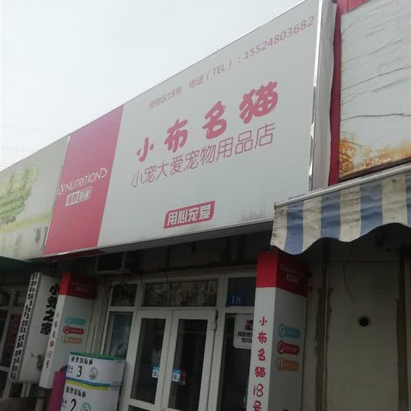 小布名猫:大连市西岗区香炉礁附近