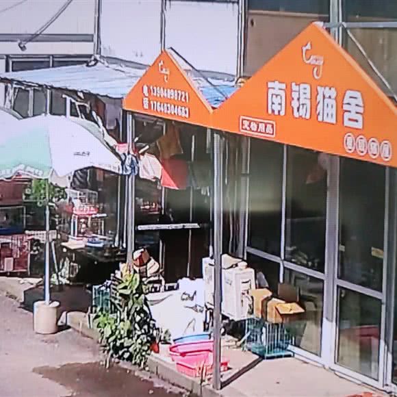 南锡猫舍:大连市西岗区香炉礁附近