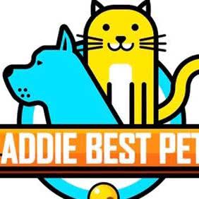 私宠之家:北京城区朝阳区草房附近