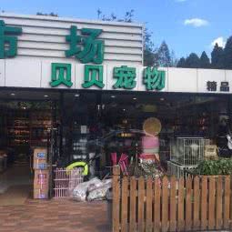 贝贝宠物:大连市西岗区五一广场附近