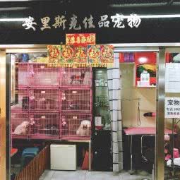 安里斯克佳品宠物:大连市西岗区五一广场附近