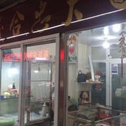 义和忠犬:大连市西岗区五一广场附近