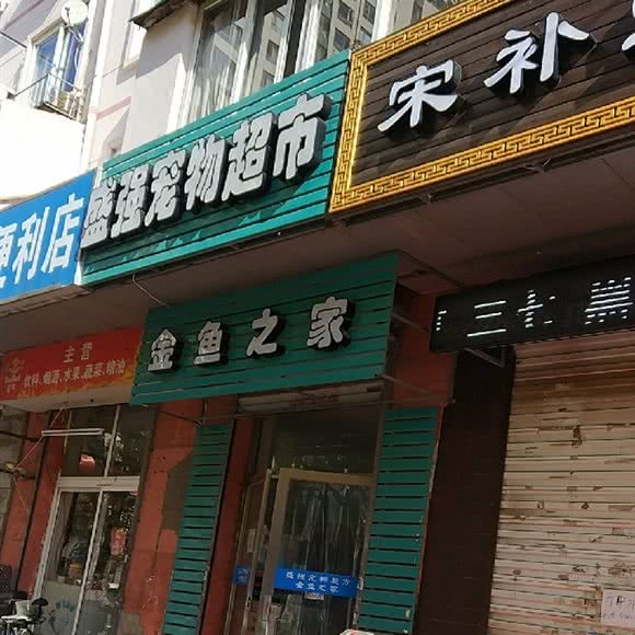 盛强宠物超市:大连市西岗区五一广场附近