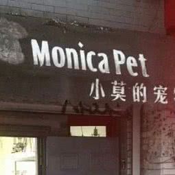 小莫的宠物店:北京城区西城区西单附近