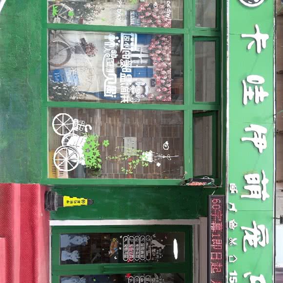 卡哇伊萌宠乐园:大连市西岗区大连站附近