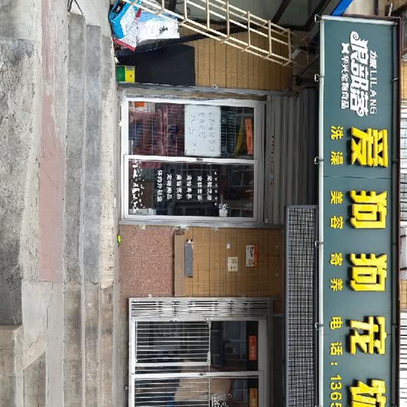 西岗区爱狗狗宠物店:大连市西岗区大连站附近