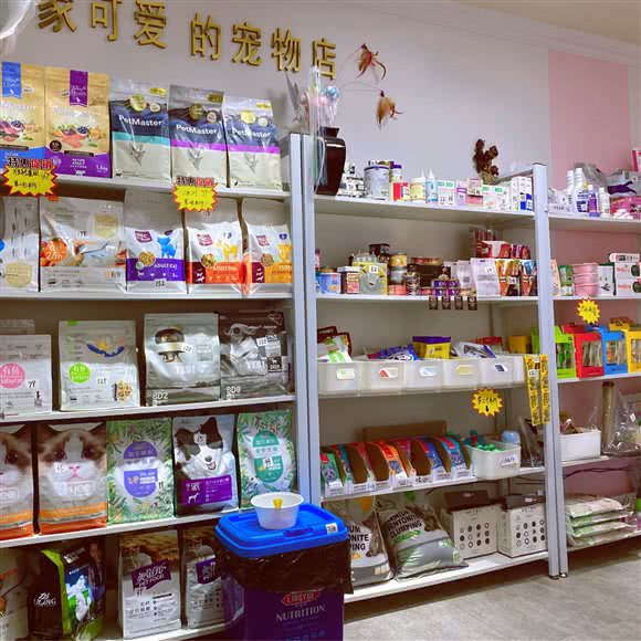 宠兀宠物店:大连市西岗区大连站附近