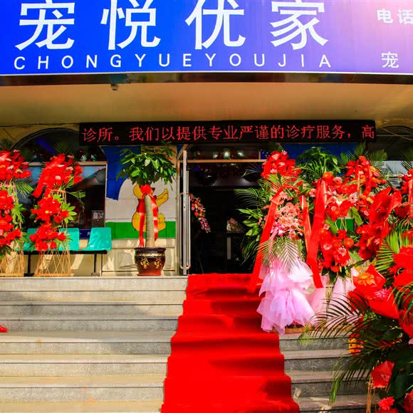 宠悦优家宠物诊所:大连市西岗区黄河路沿线附近