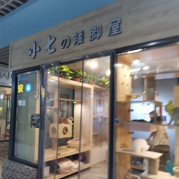 小七的矮脚屋:大连市沙河口区西安路沿线附近