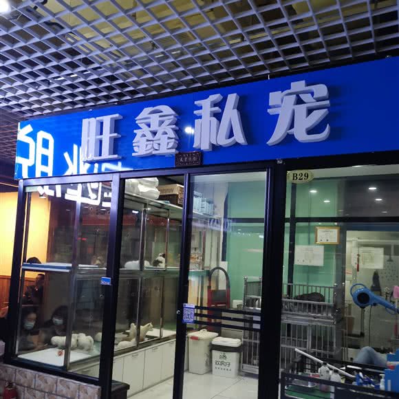 旺鑫私宠:大连市沙河口区西安路沿线附近