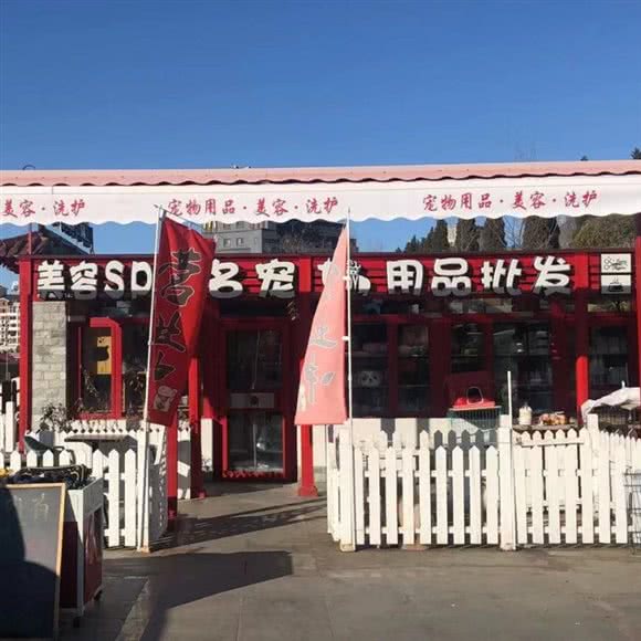 名宠:大连市沙河口区西安路沿线附近