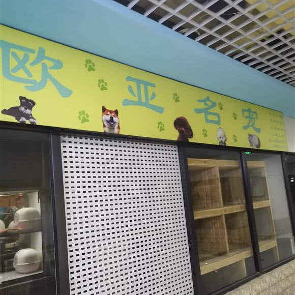 欧亚名宠:大连市沙河口区西安路沿线附近