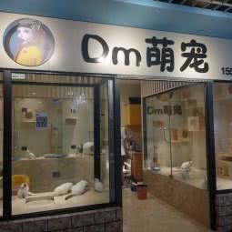 Dm萌宠:大连市沙河口区西安路沿线附近