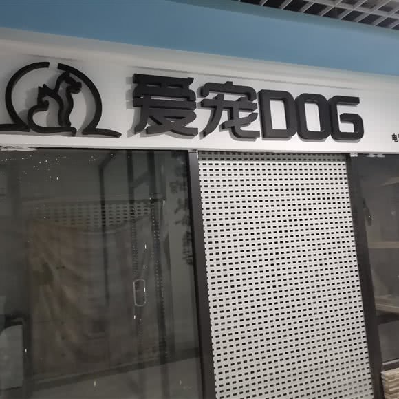 爱宠006:大连市沙河口区西安路沿线附近