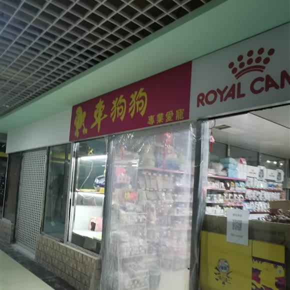 牵狗狗:大连市沙河口区西安路沿线附近