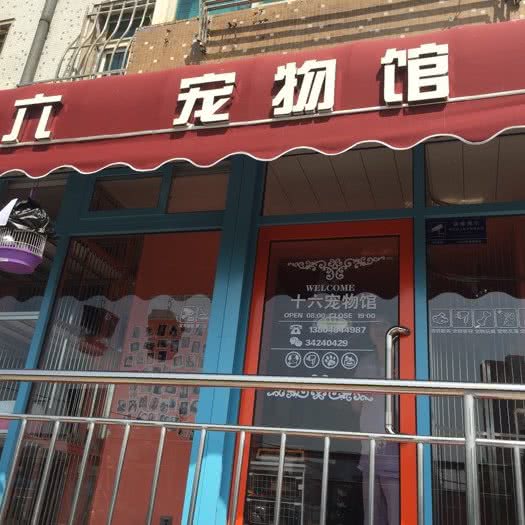 十六宠物馆(沙河口火车站店):大连市沙河口区西安路沿线附近