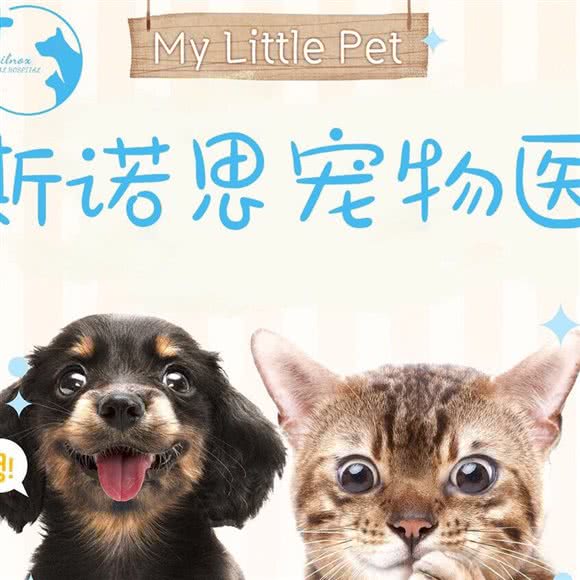 斯诺思宠物医疗:大连市沙河口区西安路沿线附近