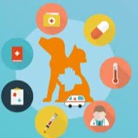 派美特宠物医院(万岁街店):大连市沙河口区西安路沿线附近