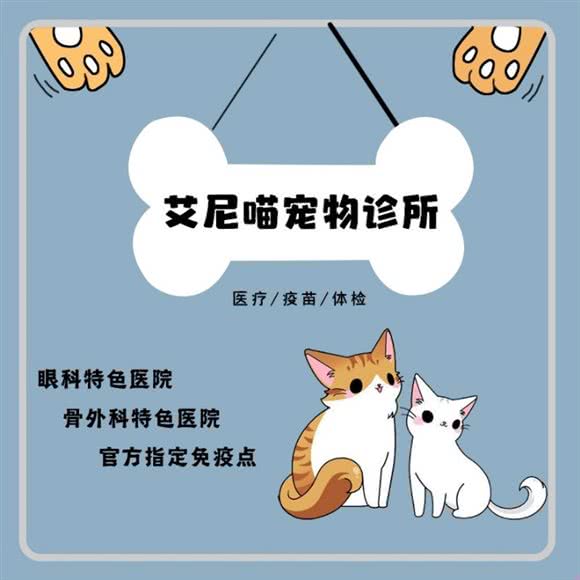 艾尼喵宠物诊所(眼科专科诊所):大连市沙河口区西安路沿线附近