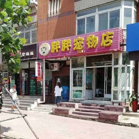 胖胖宠物店:大连市沙河口区黑石礁附近