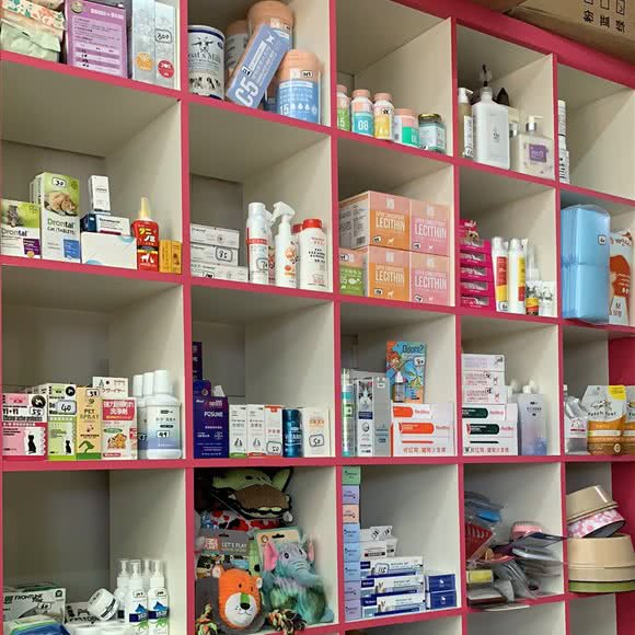 安妮宠屋:大连市沙河口区黑石礁附近