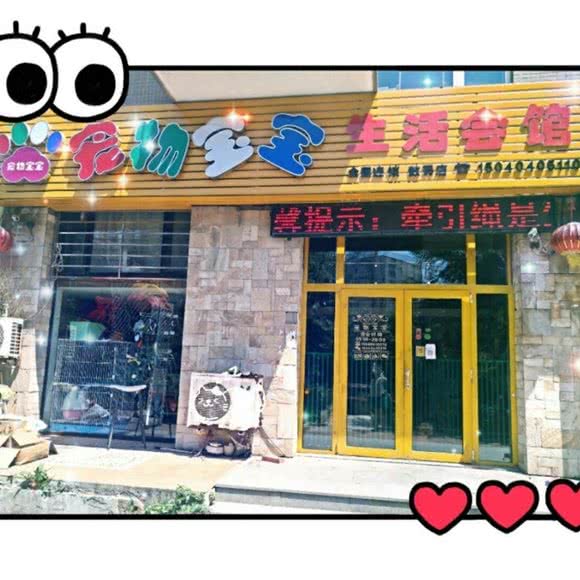 宠物宝宝生活馆(数码店):大连市沙河口区黑石礁附近