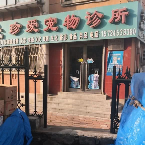珍爱狗狗诊所:大连市沙河口区黑石礁附近