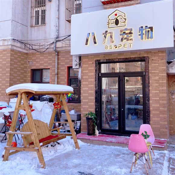 八九宠物:大连市沙河口区马栏子附近
