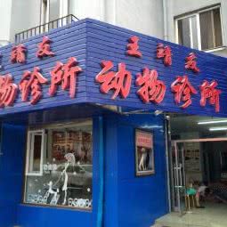 王靖友宠物诊所:大连市沙河口区马栏子附近