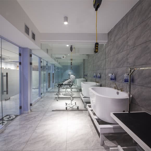 PetWill派唯尔宠物旗舰店:大连市沙河口区星海湾/星海广场附近