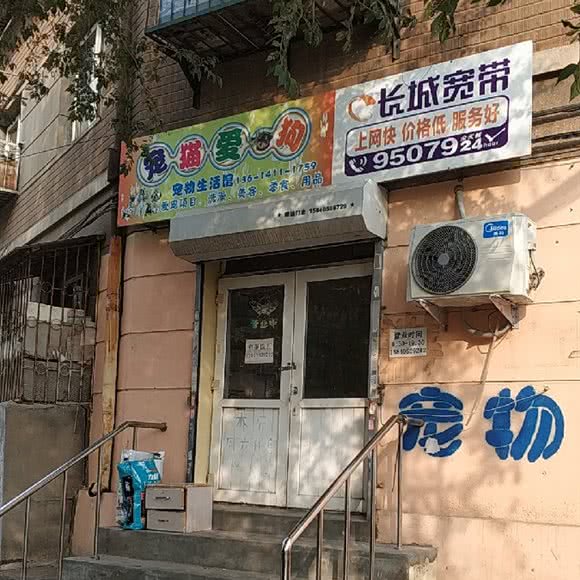 宠猫爱狗:大连市沙河口区春柳附近