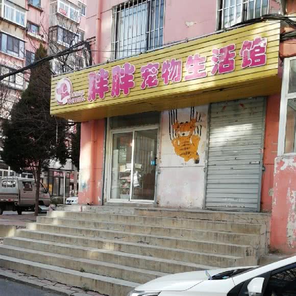 胖胖宠物生活馆:大连市沙河口区春柳附近