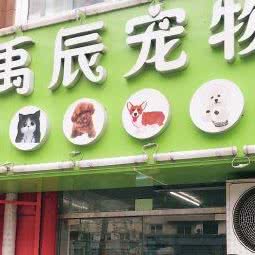 禹辰宠物:大连市沙河口区春柳附近