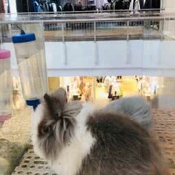 卖萌(和平广场店):大连市沙河口区和平广场附近