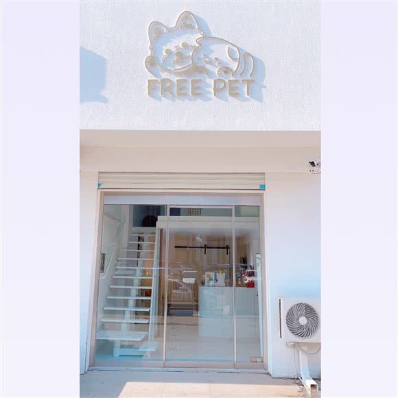 FREE PET:大连市沙河口区和平广场附近