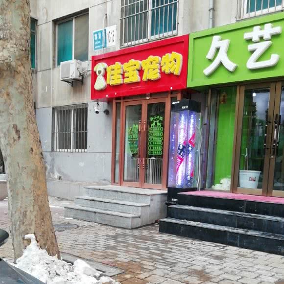 佳宝宠物:大连市沙河口区和平广场附近