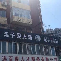 王子爱上猫萌宠俱乐部:大连市沙河口区和平广场附近
