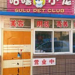 佛罗多小宠:大连市沙河口区星海公园附近