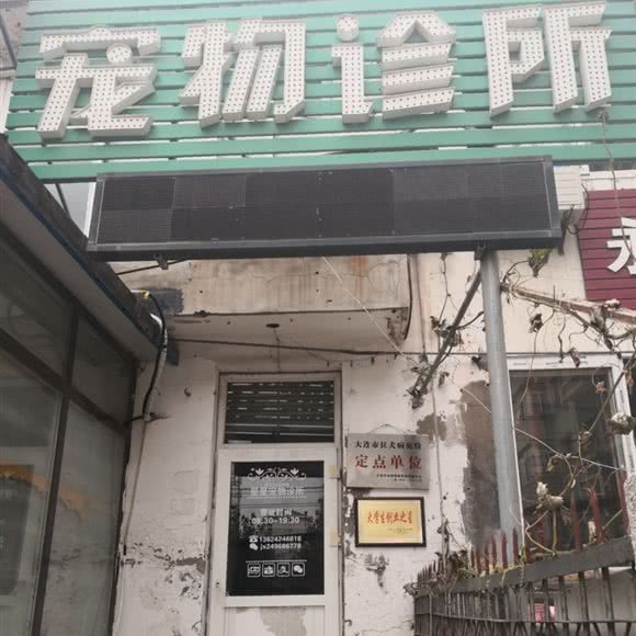 星星宠物诊所:大连市沙河口区星海公园附近