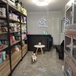 猫狗联萌:大连市沙河口区锦绣附近