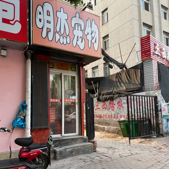 明杰宠物:大连市沙河口区锦绣附近