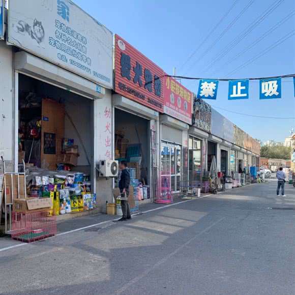 爱犬宠物(北岗街店):大连市沙河口区锦绣附近