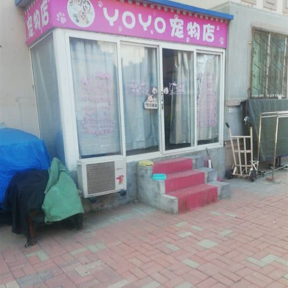 YOYO宠物店:大连市沙河口区锦绣附近
